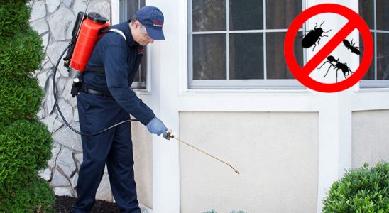 Ünye Dezenfeksiyon böcek ilaçlama ve haşere kontrolü — ilaclama-tr.com